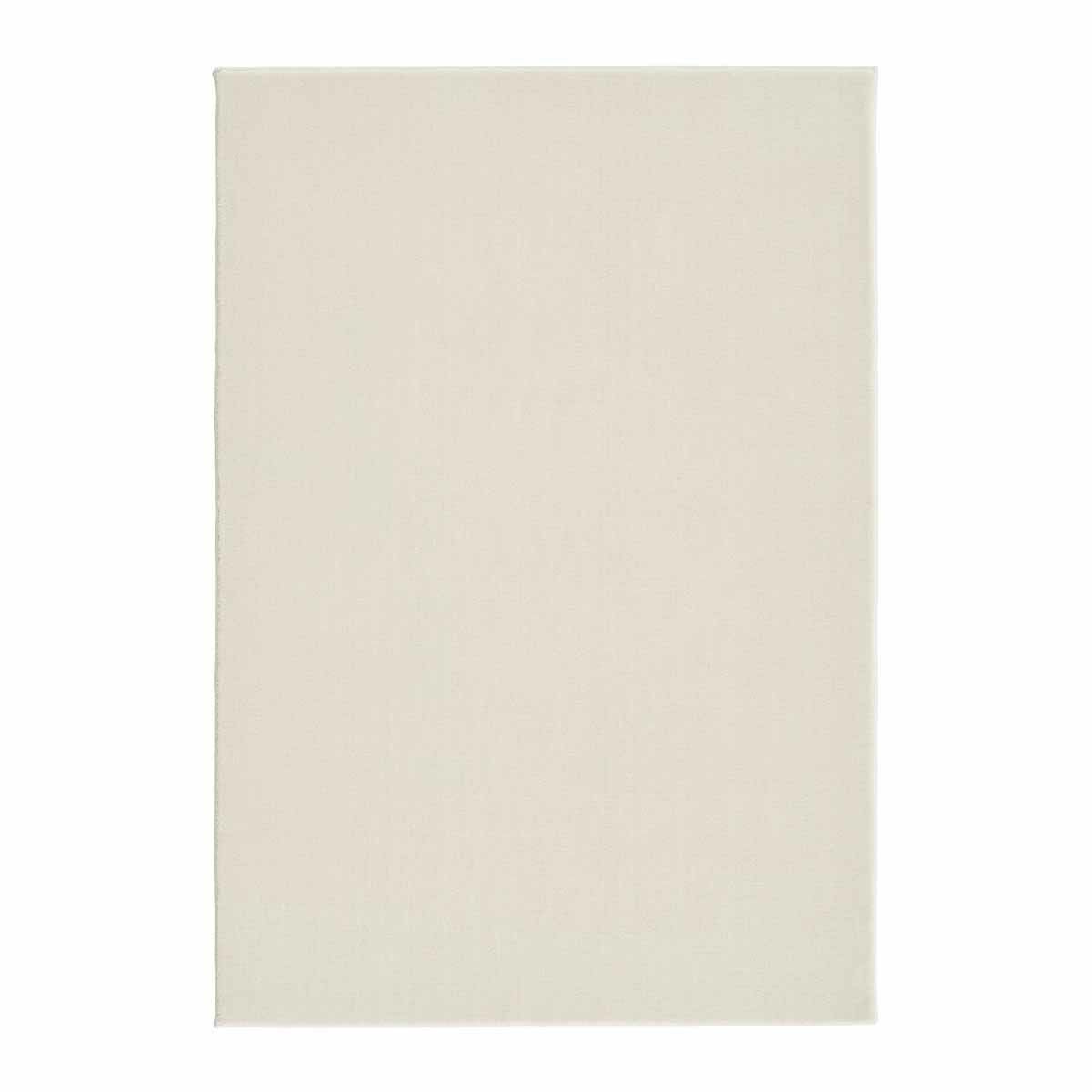 シュニー ホワイト