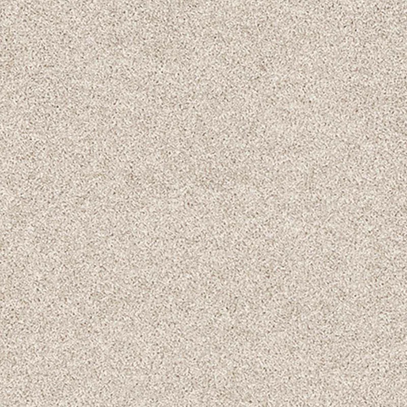 レフル カーペット21