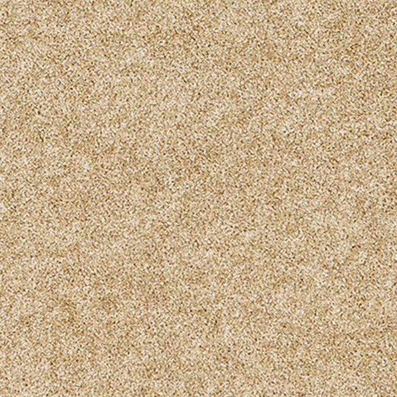 レフル カーペット22