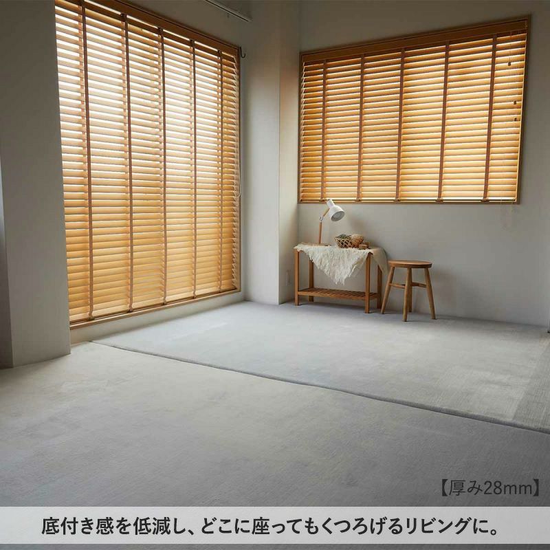 ワンダフィ【厚み約18ｍｍ】013