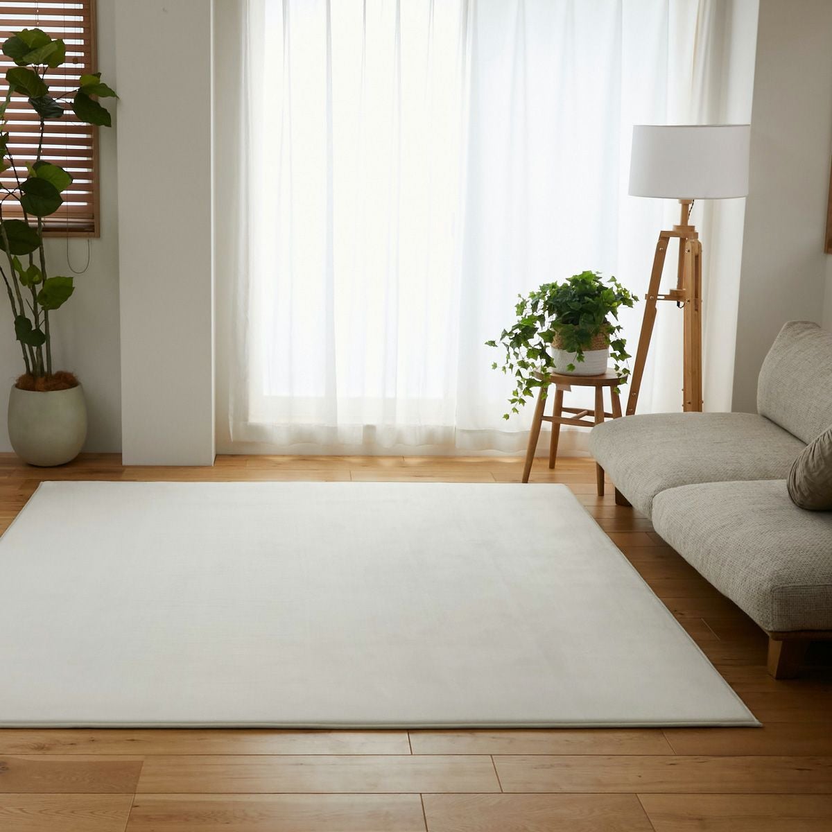 アイボリー横からのイメージ