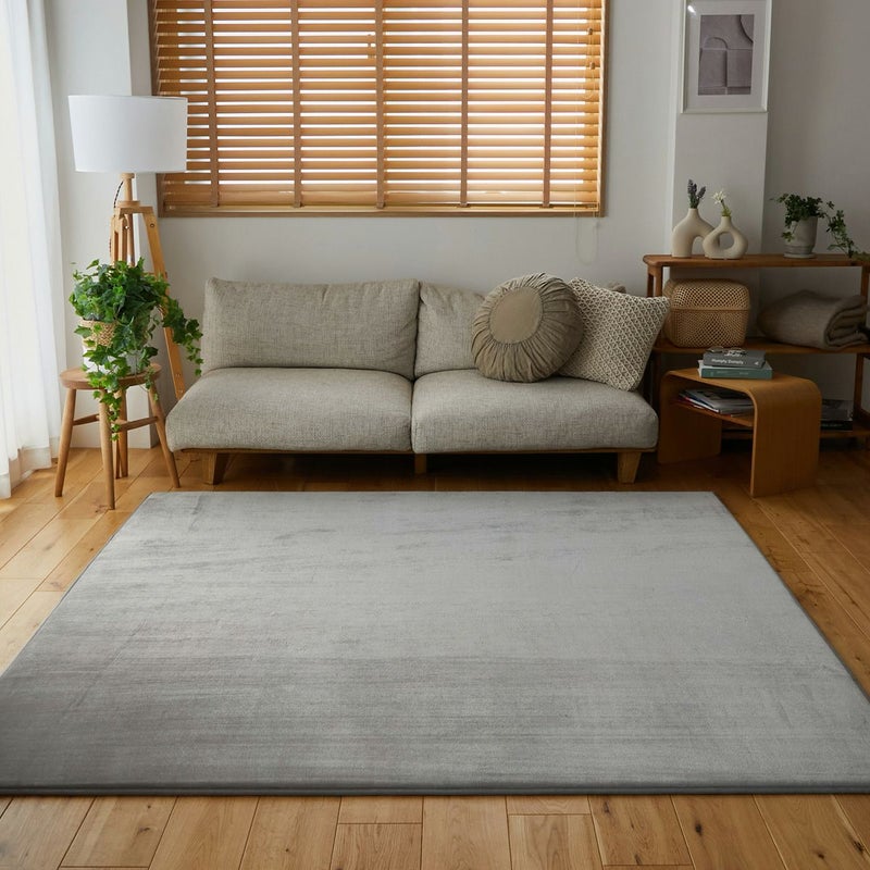 正面から見た様子