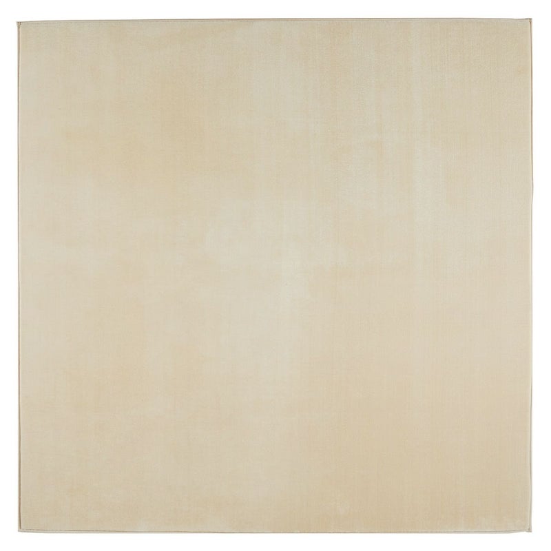 ベージュの俯瞰画像