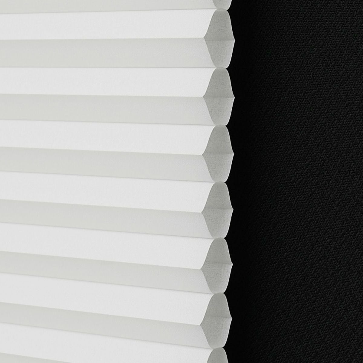 シングルハニカム　非遮光09