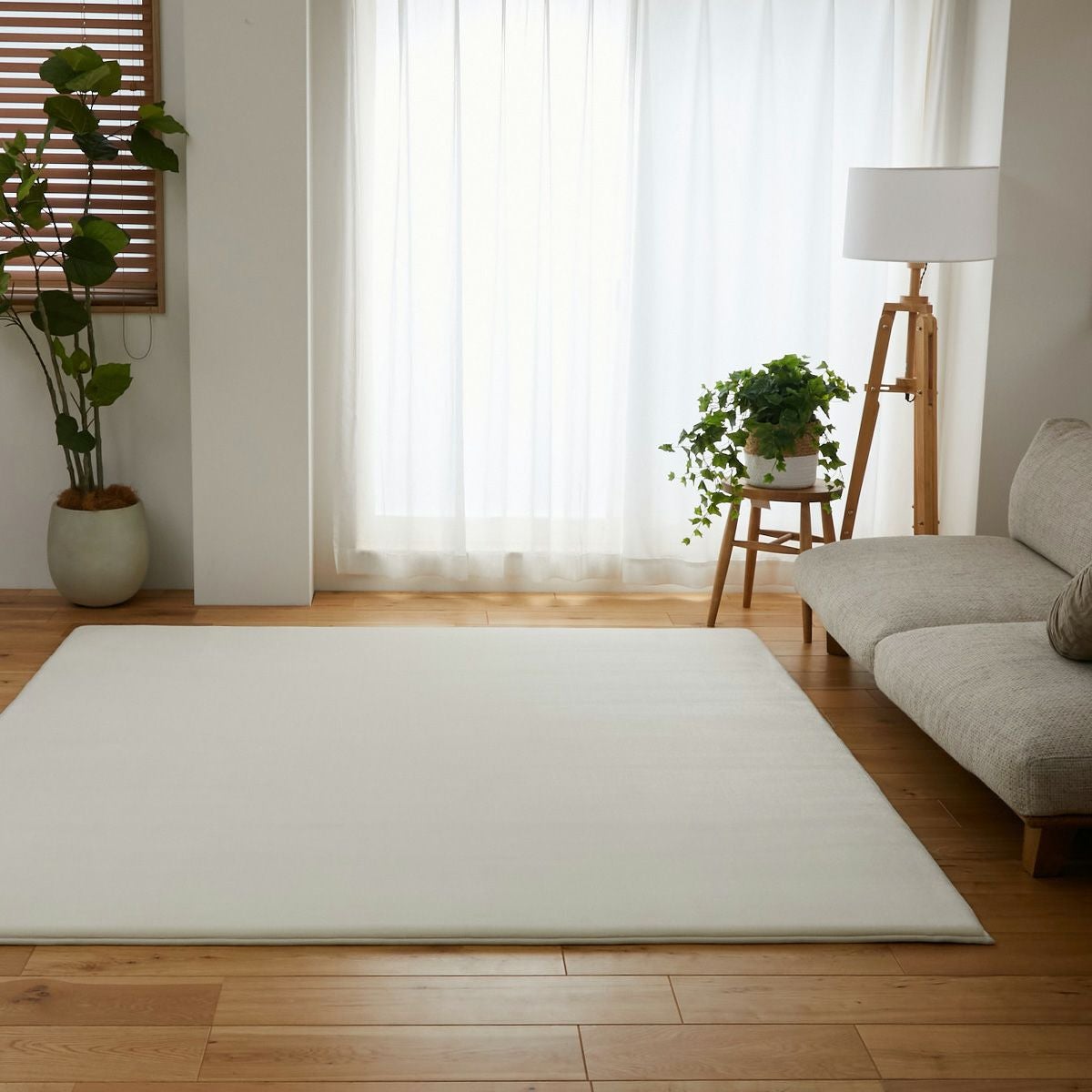 アイボリー横からのイメージ