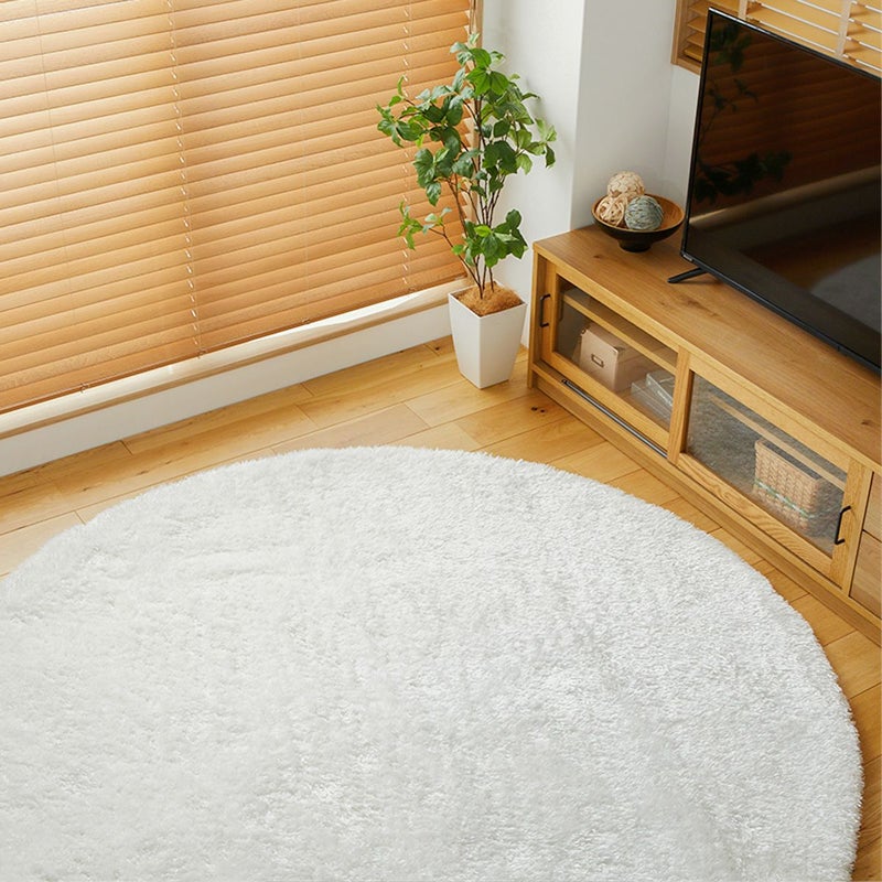 フィーヌⅡ円形04