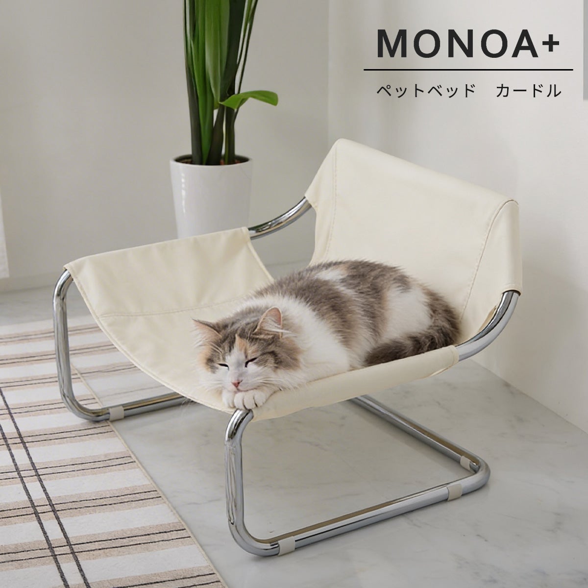 ペットベッドの上で寝ている猫