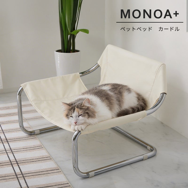 ペットベッドの上で寝ている猫