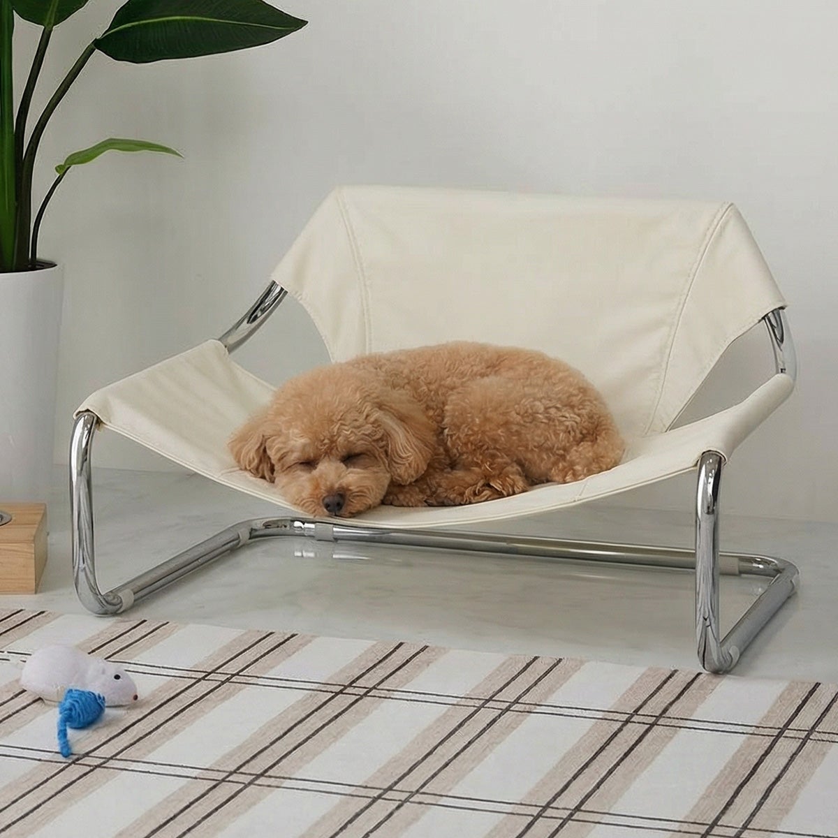 犬がペットベッドの上で寝ている様子