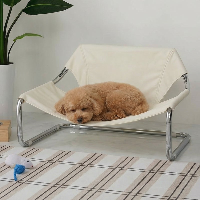 犬がペットベッドの上で寝ている様子