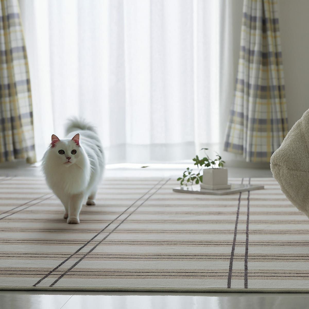 MONOA+シリーズ】ラグ フィーカ ラグ | オーダーカーペット・ラグの