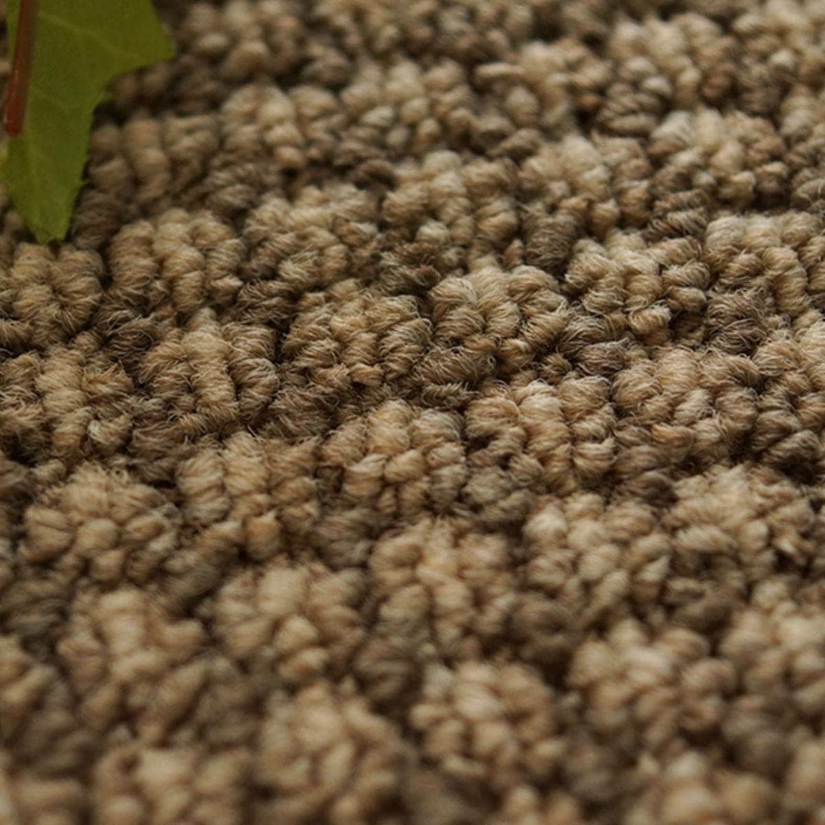 ライトブラウン3