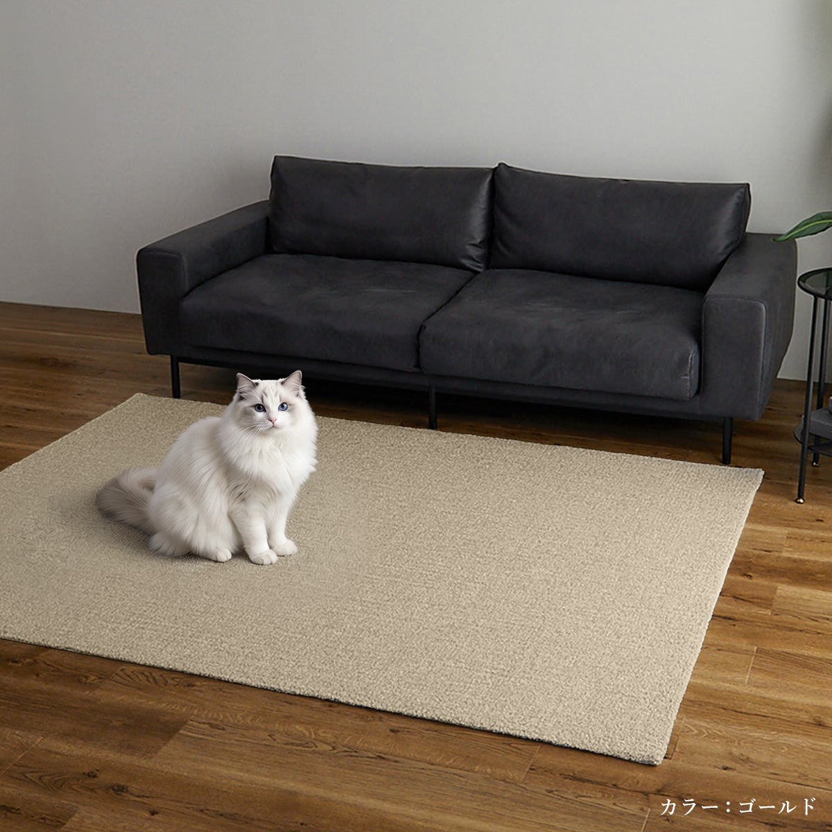 ラグの上に猫が座っているところ