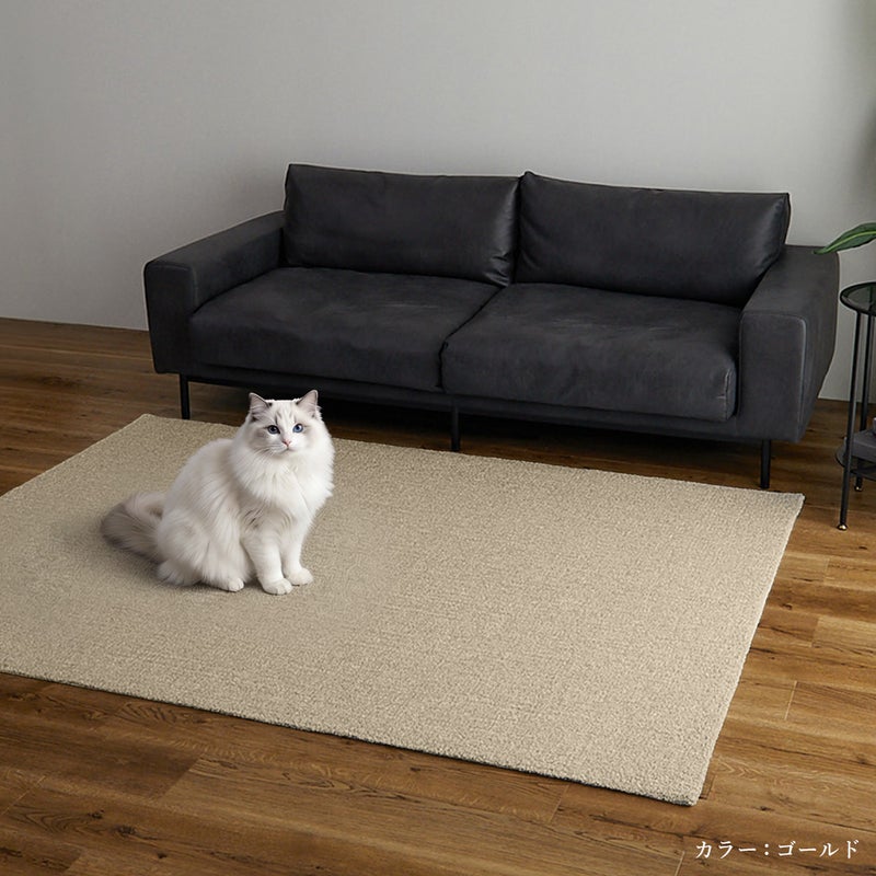 ラグの上に猫が座っているところ