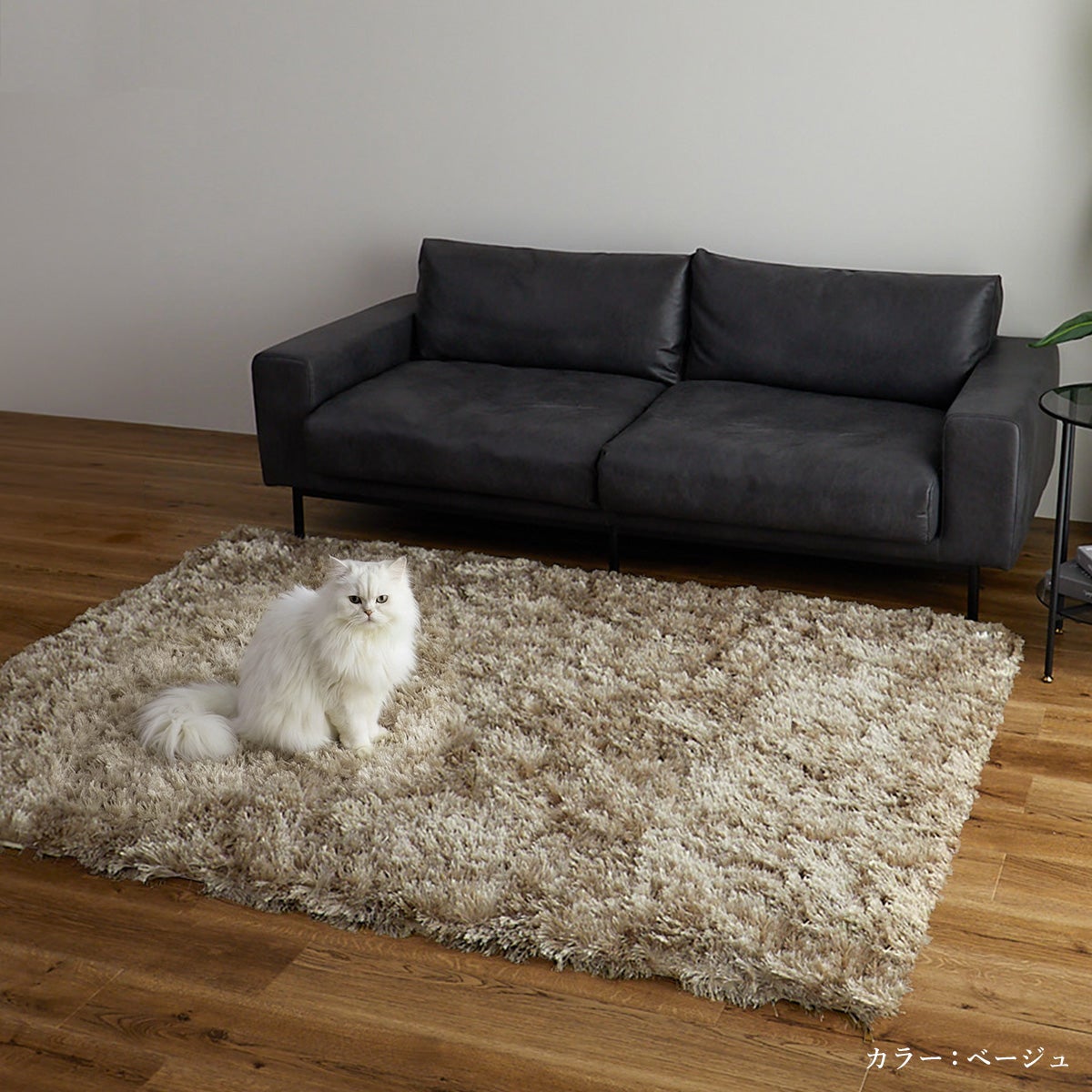 ラグの上に猫が座っているところ