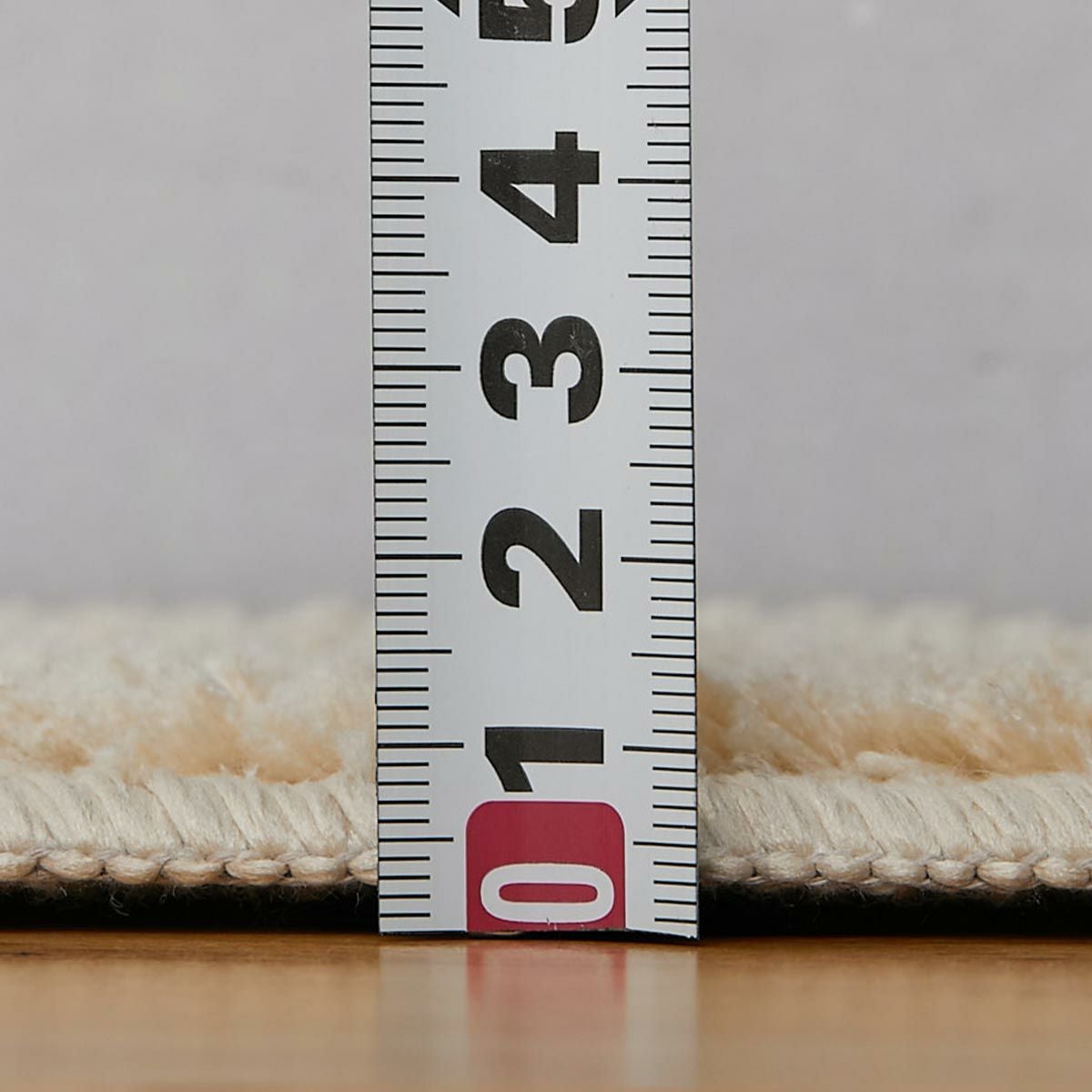 ポッシュ2　ライン16