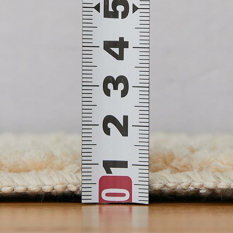 ポッシュ2 チェック16