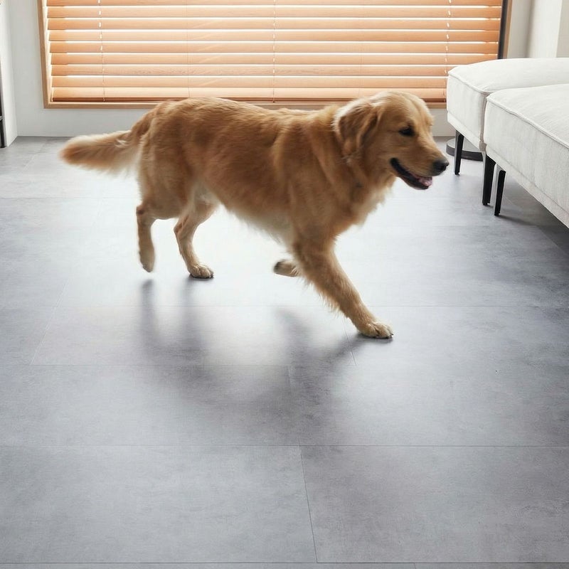 フロム モルタルグレー 犬が遊ぶ様子