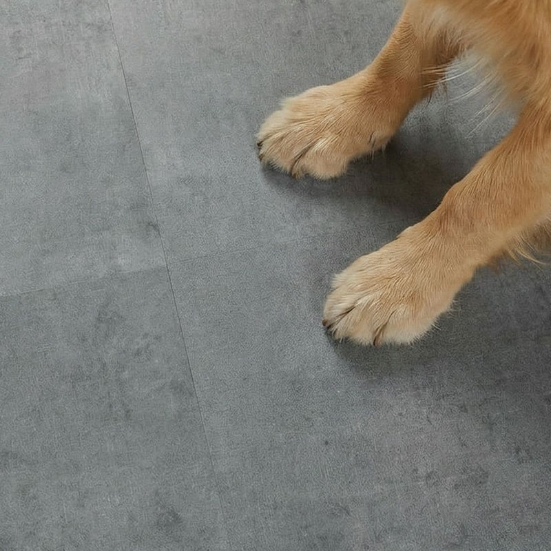 フロム モルタルグレー ペットの足