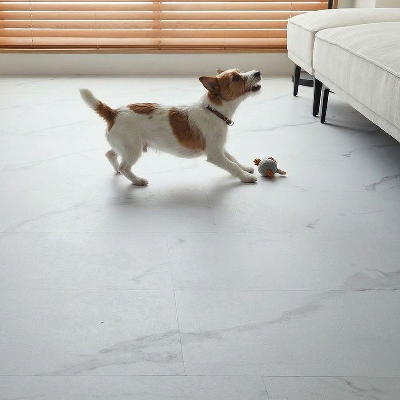 フロム ホワイトマーブル 犬が遊ぶ様子