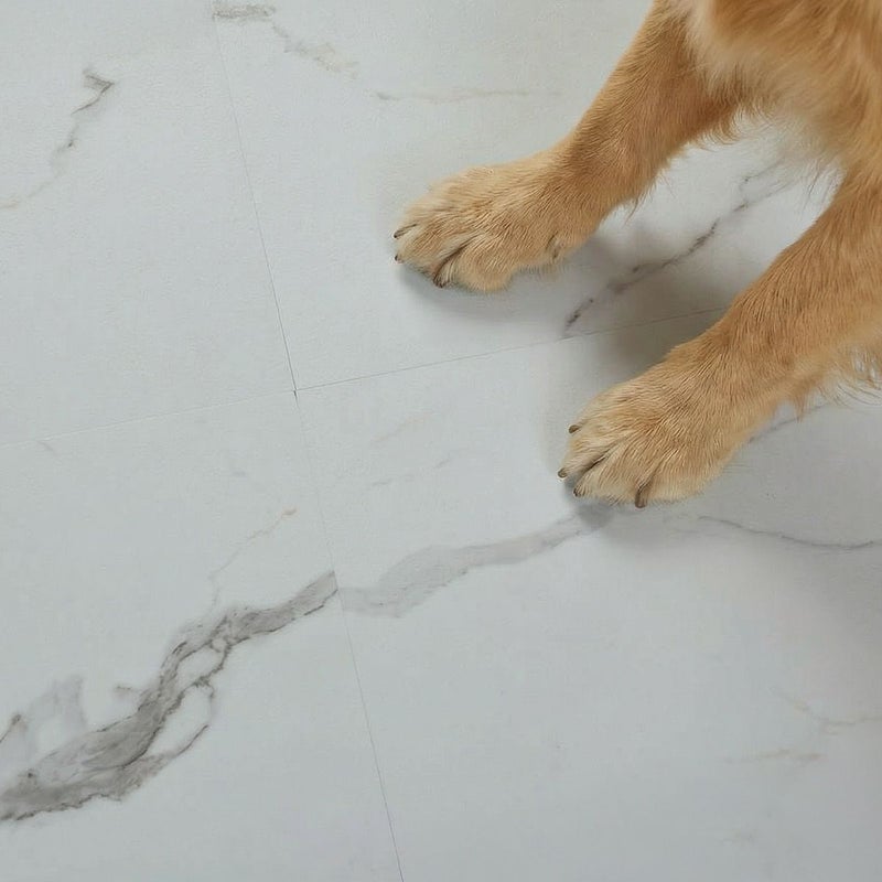 フロム ホワイトマーブル ペットの足