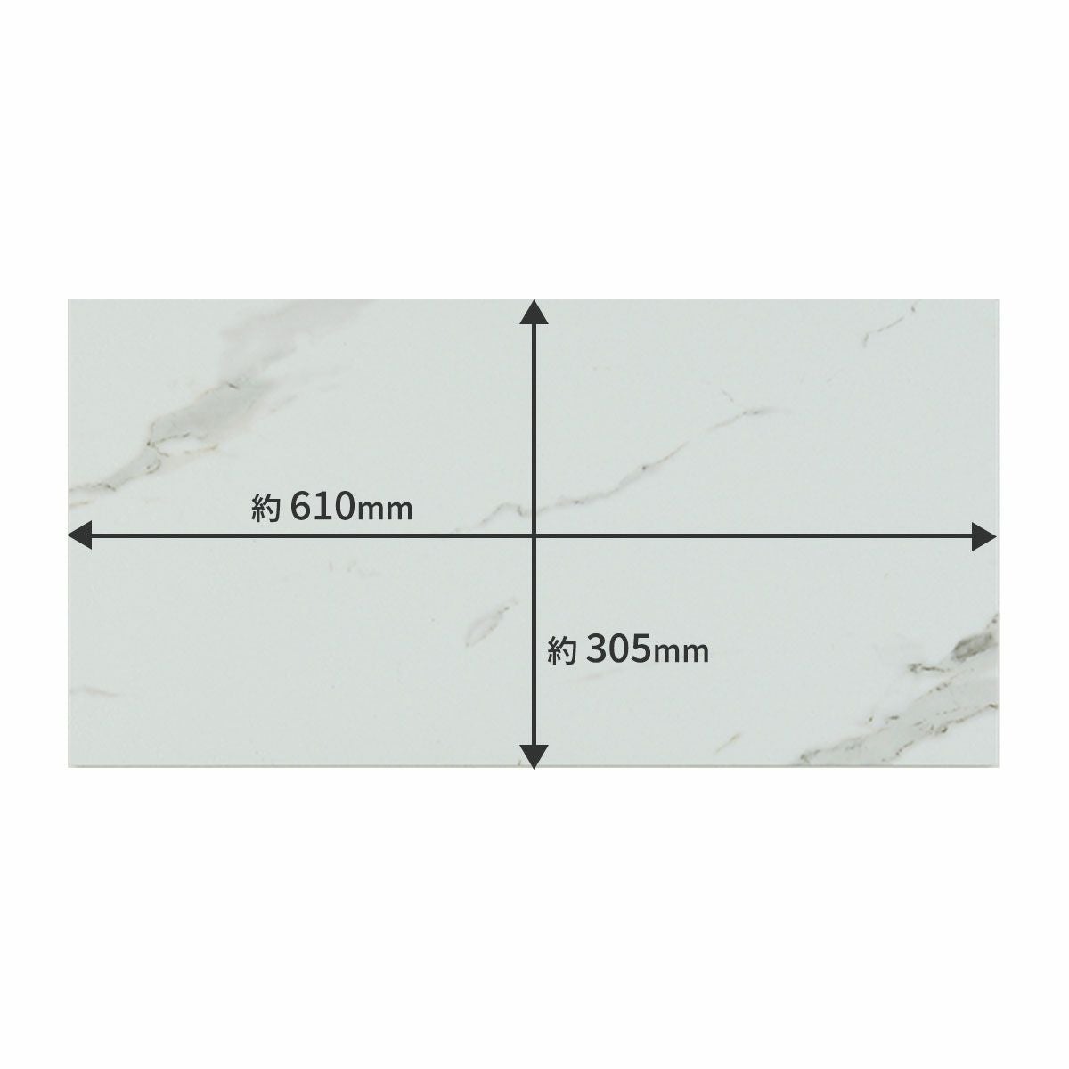 サイズ表記 約610mm×約305mm