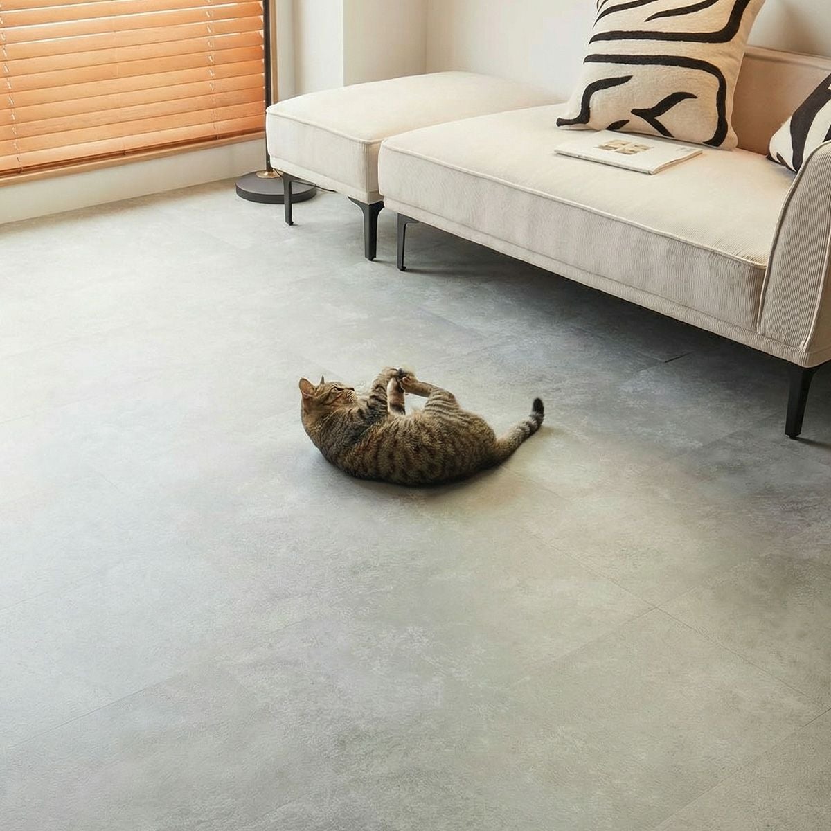 フロム ラフグレージュ 猫が遊ぶ様子