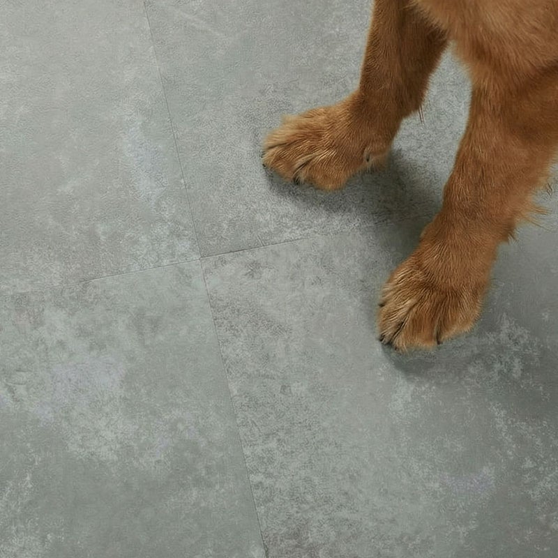 フロム ラフグレージュ ペットの足