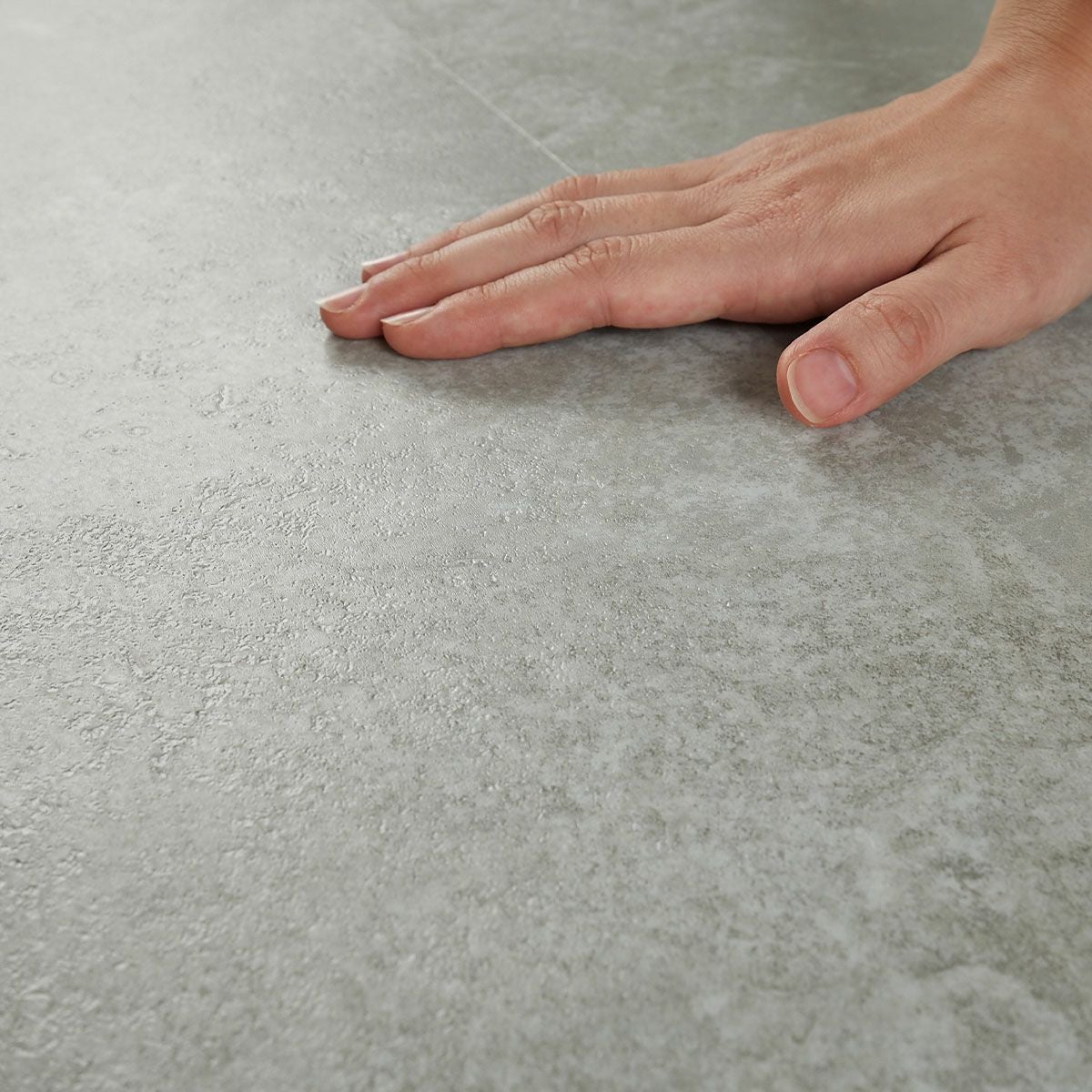 フロムラフグレージュ 撫でる様子