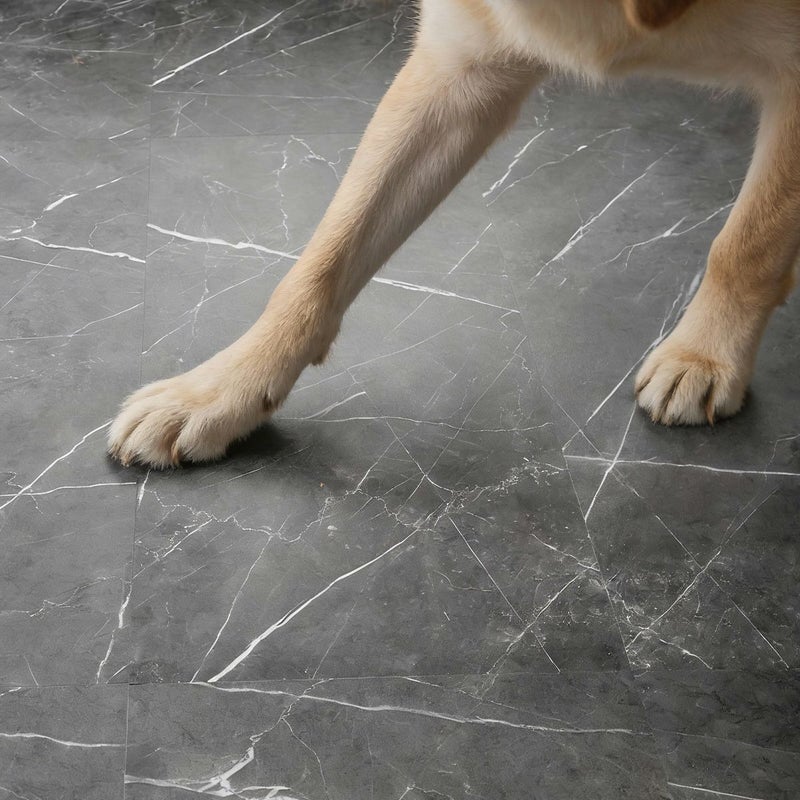 フロム  ブラックマーブル ペットの足