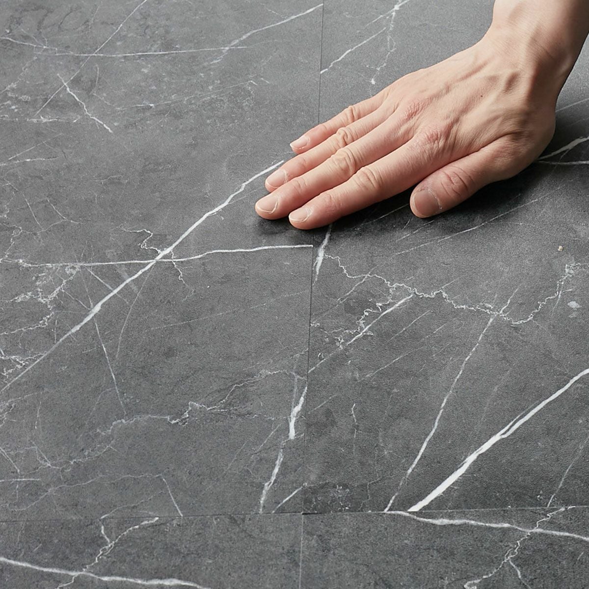 フロム  ブラックマーブル 撫でる様子