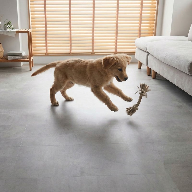 フロム ケーブグレージュ ペットが遊ぶ様子