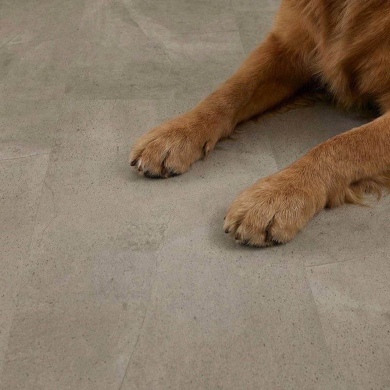 フロム ケーブグレージュ ペットの足