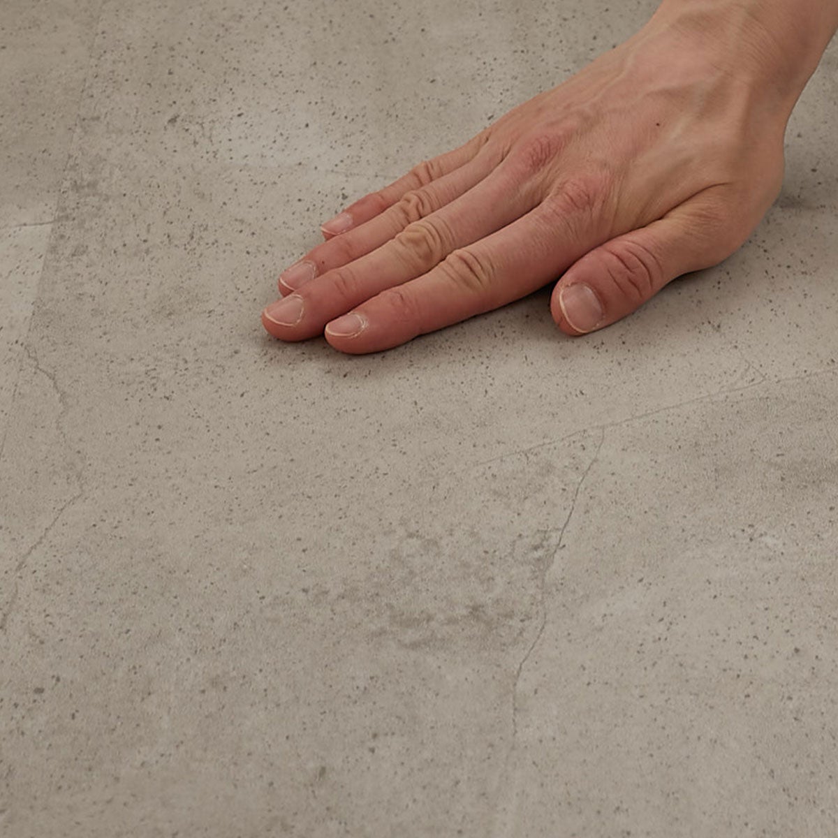 フロム ケーブグレージュ 撫でる様子