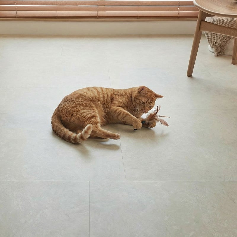 フロム グレイッシュベージュ ペットが遊ぶ様子