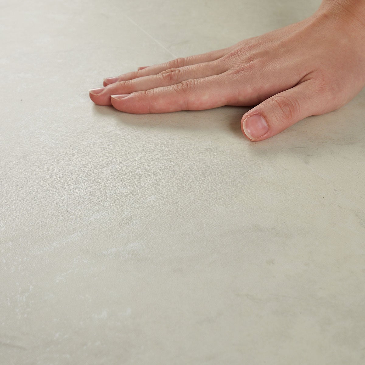 フロム グレイッシュベージュ 撫でる様子