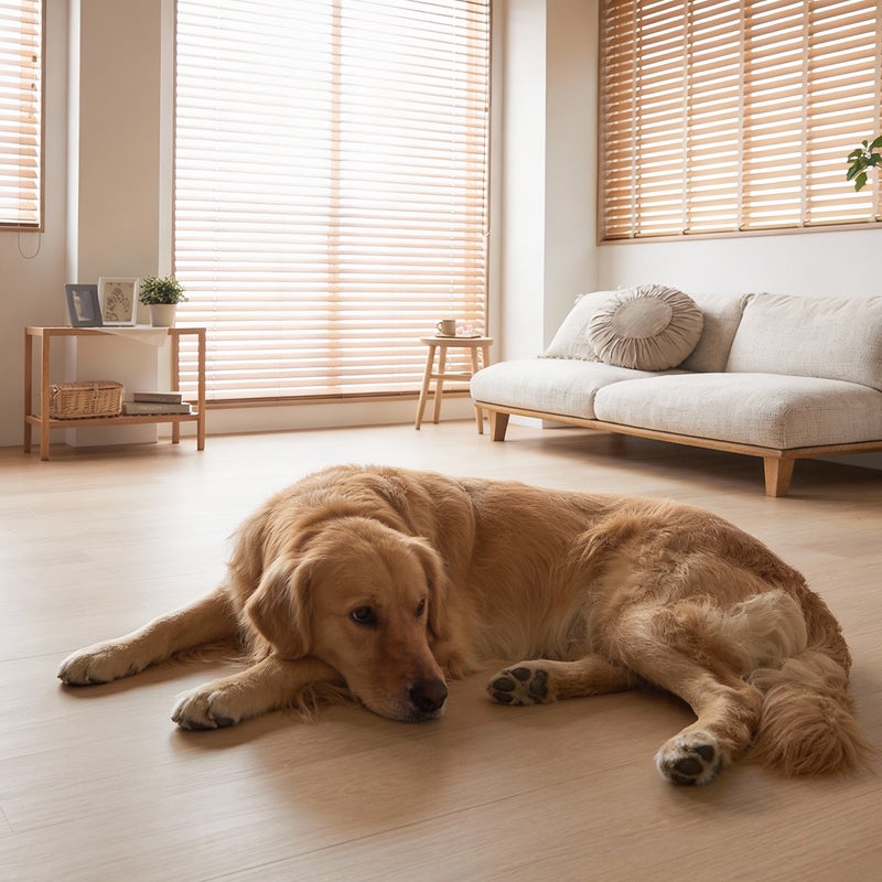 フロム ナチュラルウッド 犬が遊ぶ様子