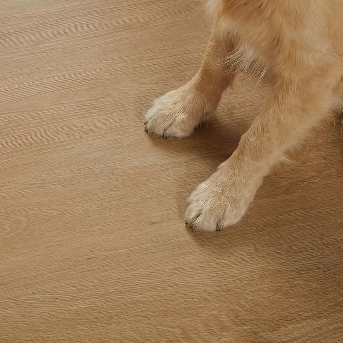 フロム ナチュラルウッド ペットの足