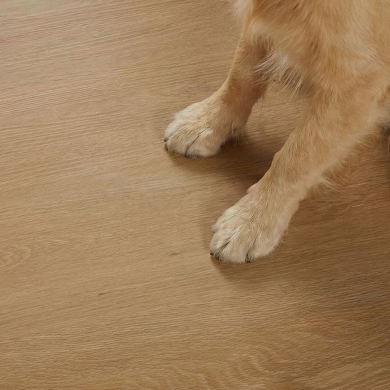フロム ナチュラルウッド ペットの足