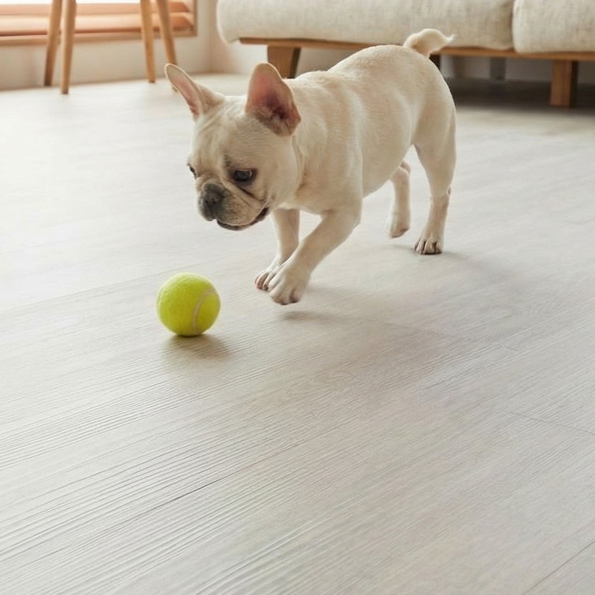 フロム ホワイトウッド ペットが遊ぶ様子