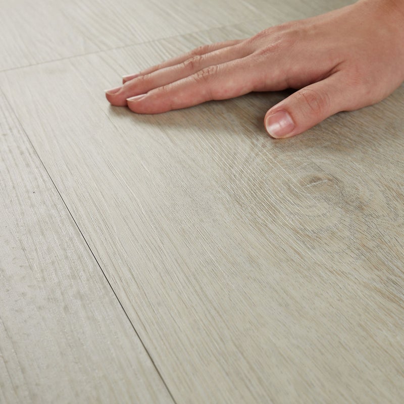 フロム ホワイトウッド 撫でる様子