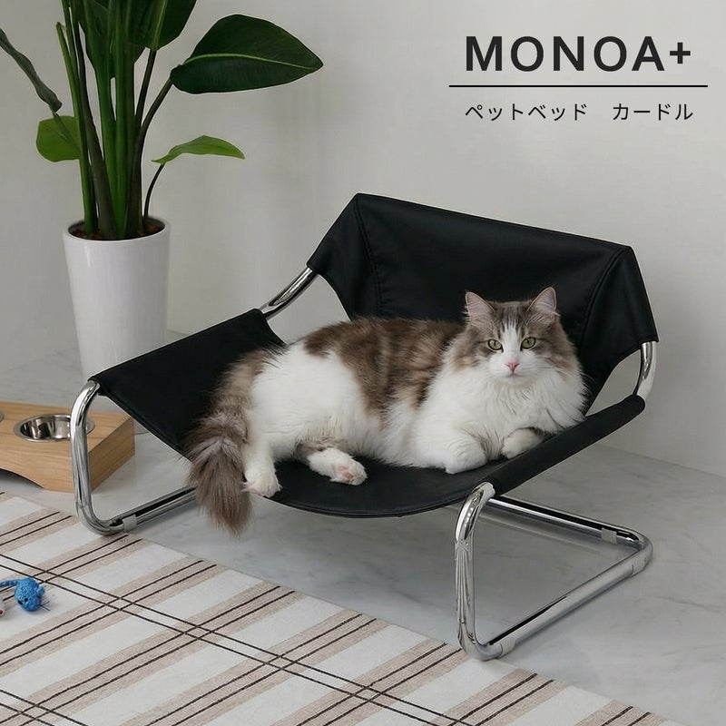 ペットベッドの上で寝ている猫